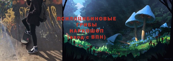 мдма Богданович