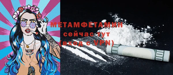 прущие грибы Бородино