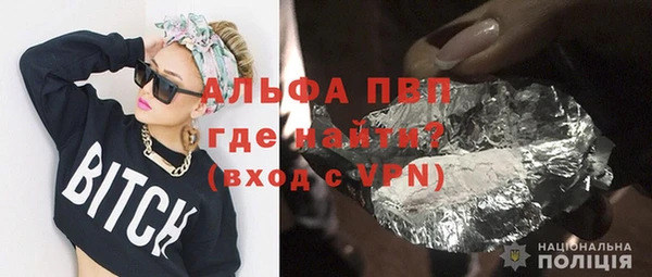 прущие грибы Бородино