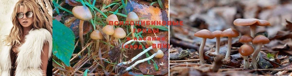 синтетический гашиш Пересвет