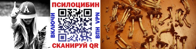 Купить закладки  Белогорск  Псилоцибиновые грибы GOLDEN TEACHER 